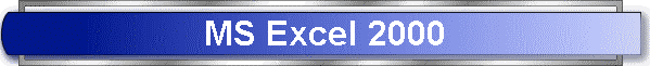 MS Excel 2000