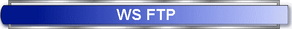 WS FTP