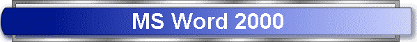MS Word 2000